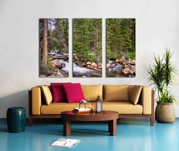 Colorado Rocky Mountain Forest Stream Split Canvas print