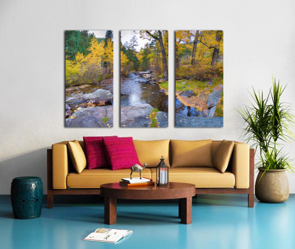 Special Place In The Woods Split Canvas print