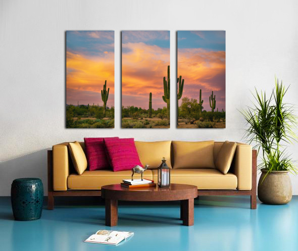 Saguaro Desert Life Split Canvas print