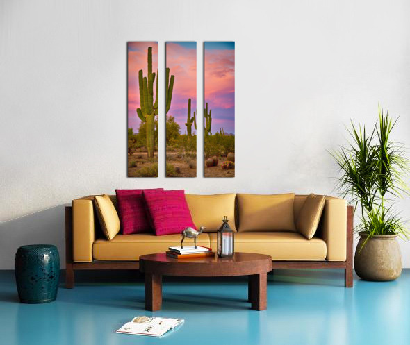 Desert Spring Split Canvas print