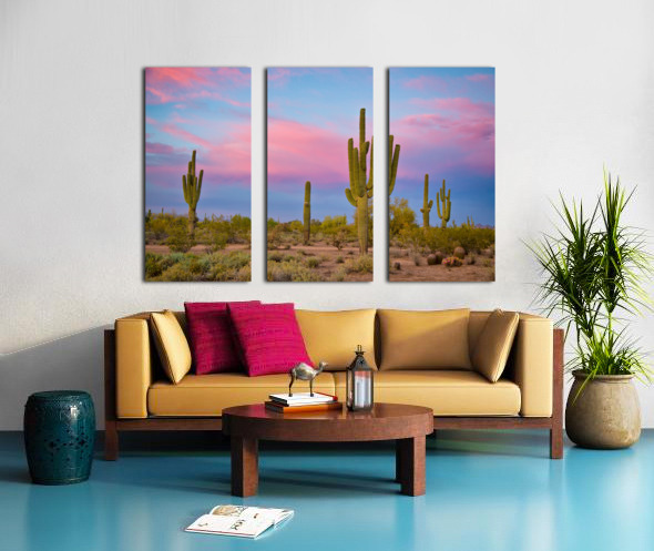 Southwest Desert Spring Split Canvas print