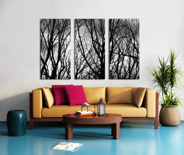 Tree Branches Into The Night Split Canvas print