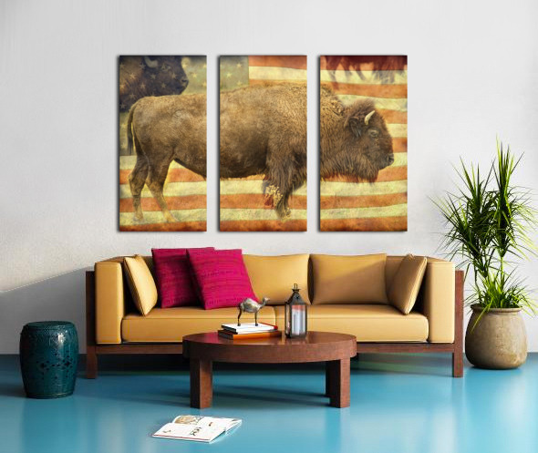 American Buffalo Split Canvas print