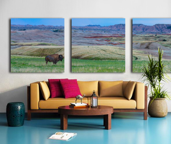 The Majestic Bison -  Roaming the Colorful Badlands of SD Split Canvas print