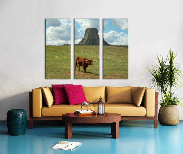 Longhorn Cow Posing at Devils Tower in Wyoming - First US Nation Split Canvas print