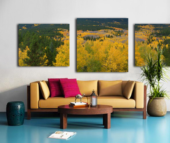 Colorado Autumn Panorama colorful Canvas print