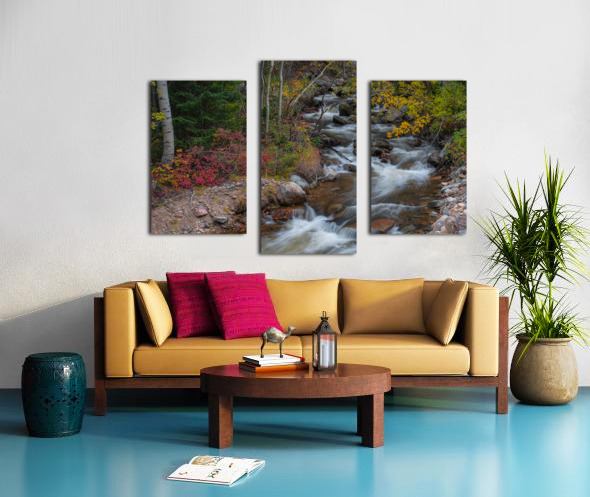 Color Streaming Canvas print