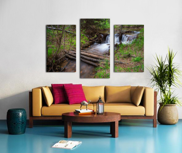 Creek Crossing Forest Woods Canvas print