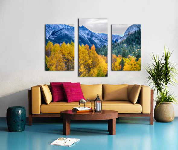 Colorful Crested Butte Colorado Canvas print