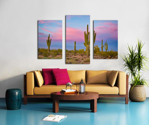 Southwest Desert Spring Canvas print