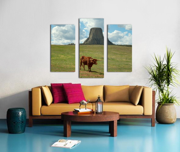Longhorn Cow Posing at Devils Tower in Wyoming - First US Nation Canvas print