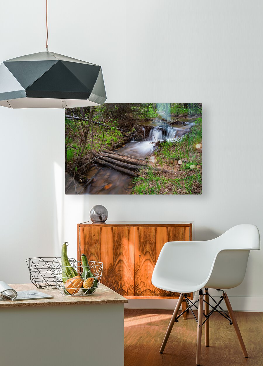 Creek Crossing Forest Woods  HD Metal print with Floating Frame on Back
