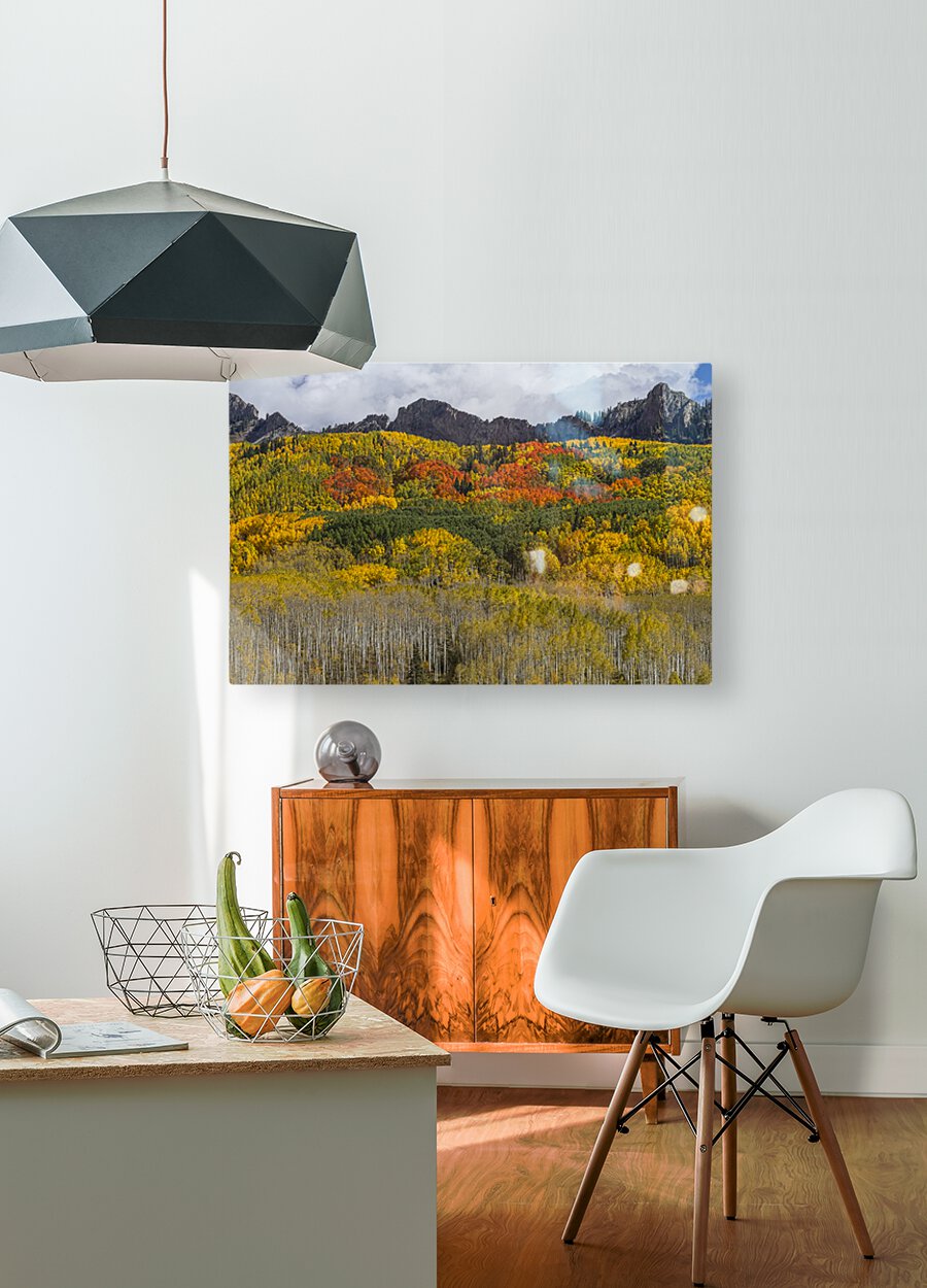Colorado Kebler Pass Fall Foliage  HD Metal print with Floating Frame on Back