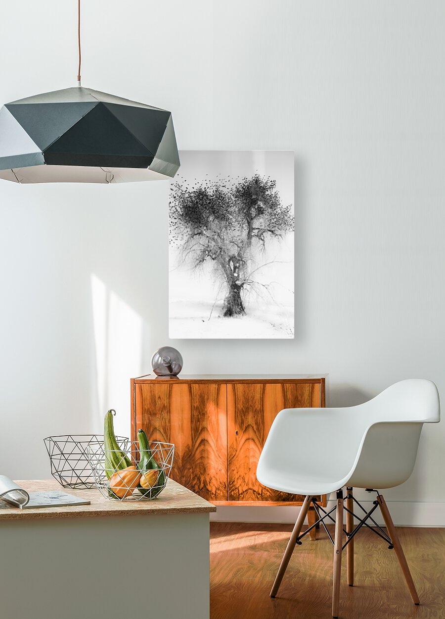 Treefull  HD Metal print with Floating Frame on Back