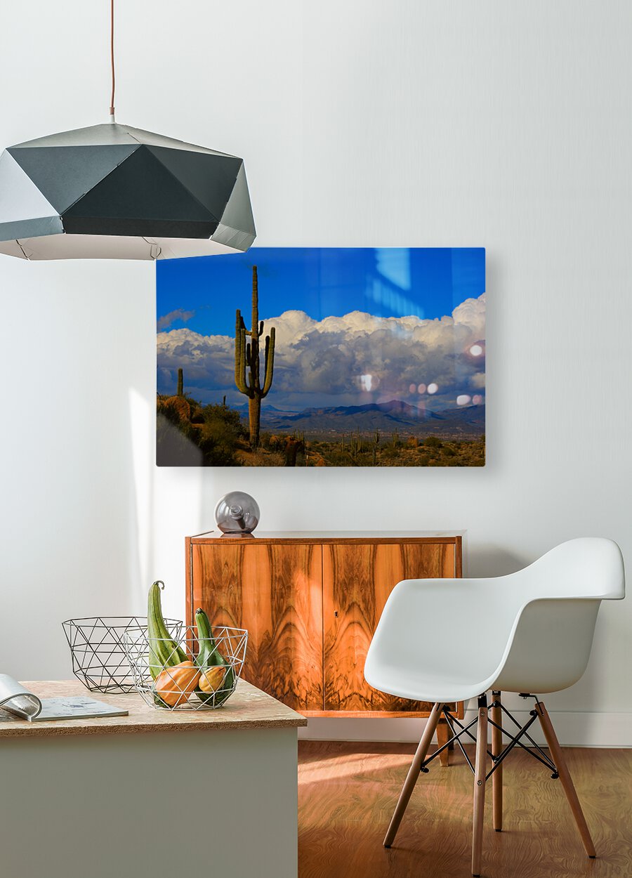  Amazing Giant Saguaro Cactus  Impression métal HD avec cadre flottant sur le dos