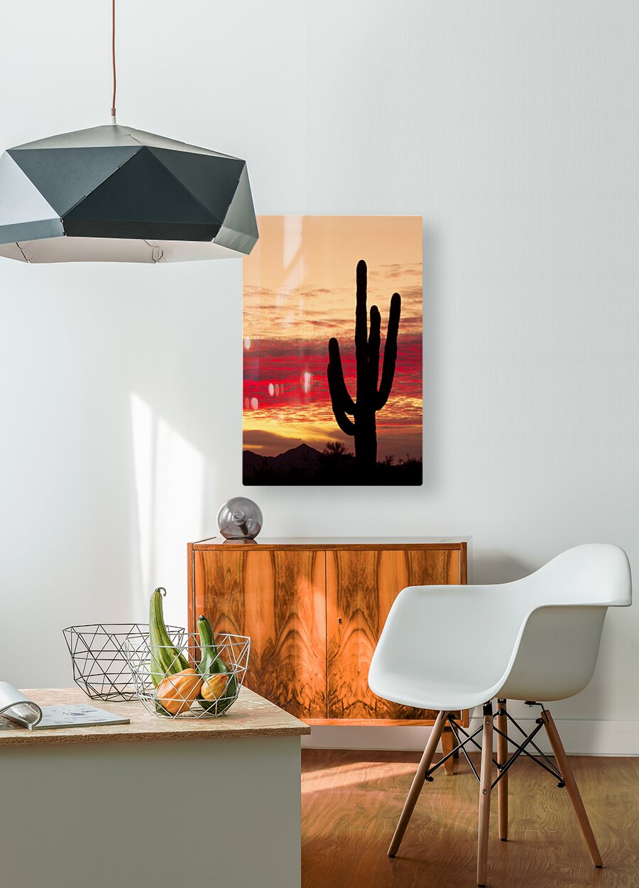 Tequila Sunrise Portrait  HD Metal print with Floating Frame on Back