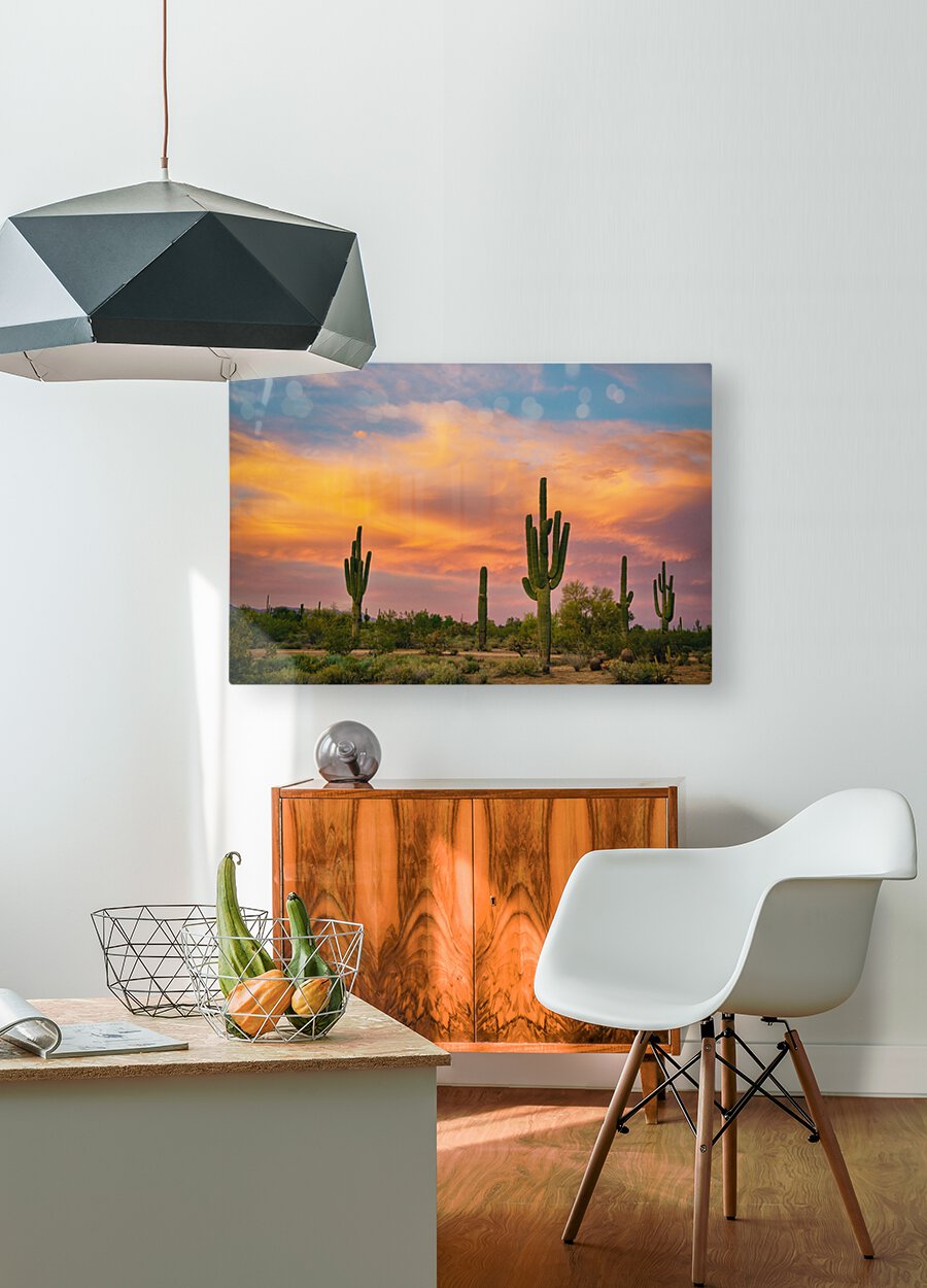 Saguaro Desert Life  HD Metal print with Floating Frame on Back