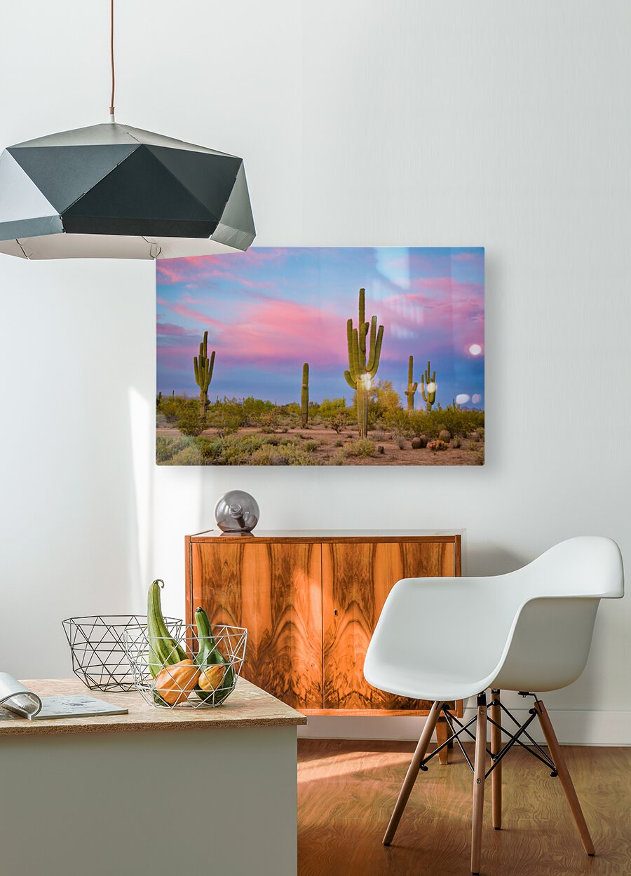 Southwest Desert Spring  HD Metal print with Floating Frame on Back