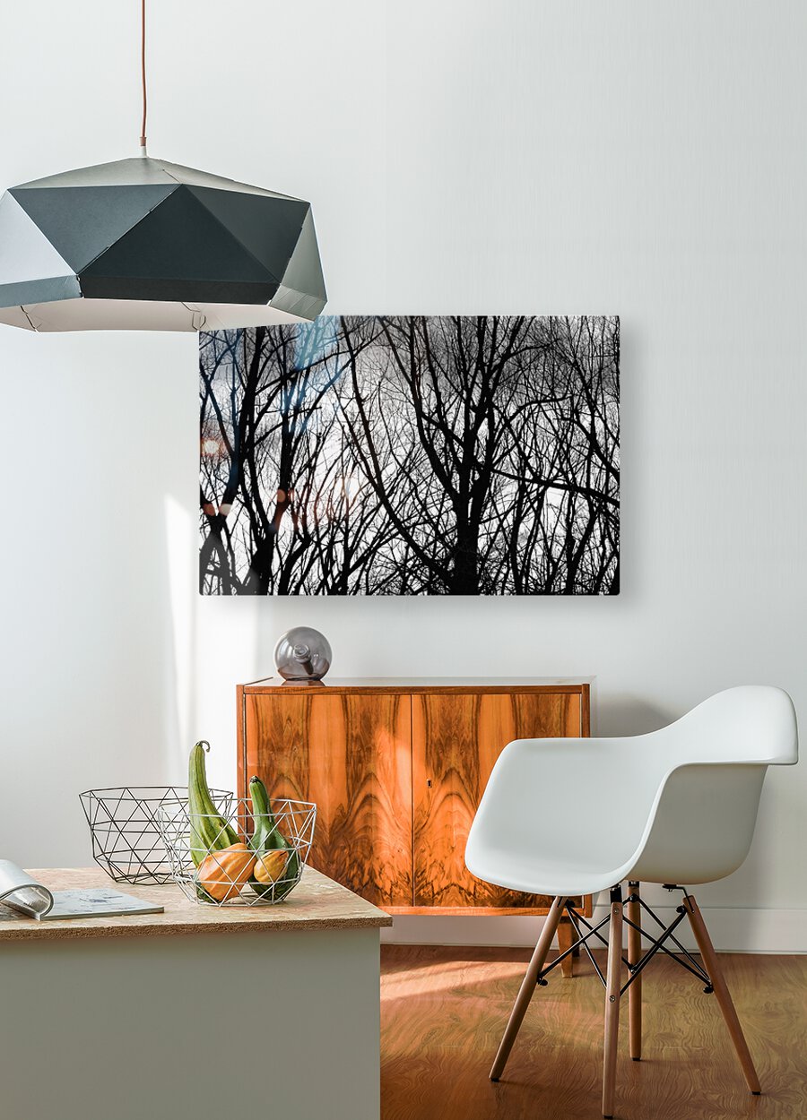 Tree Branches Into The Night  HD Metal print with Floating Frame on Back
