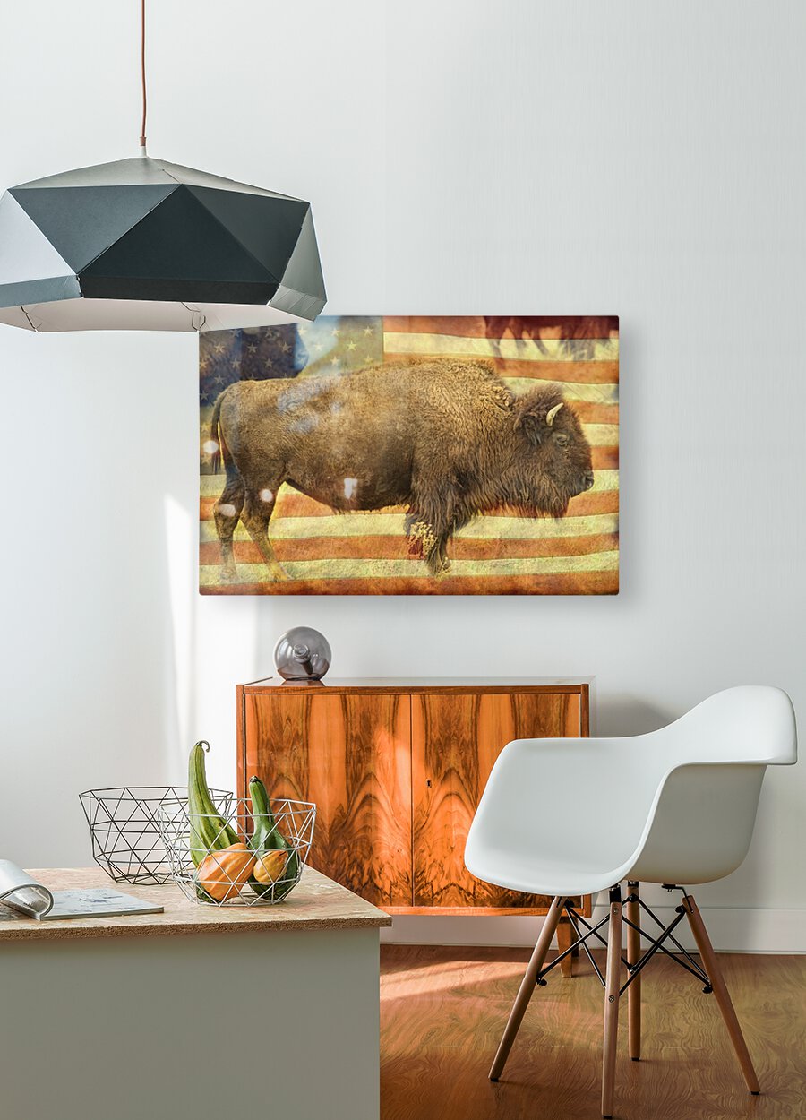 American Buffalo  Impression métal HD avec cadre flottant sur le dos