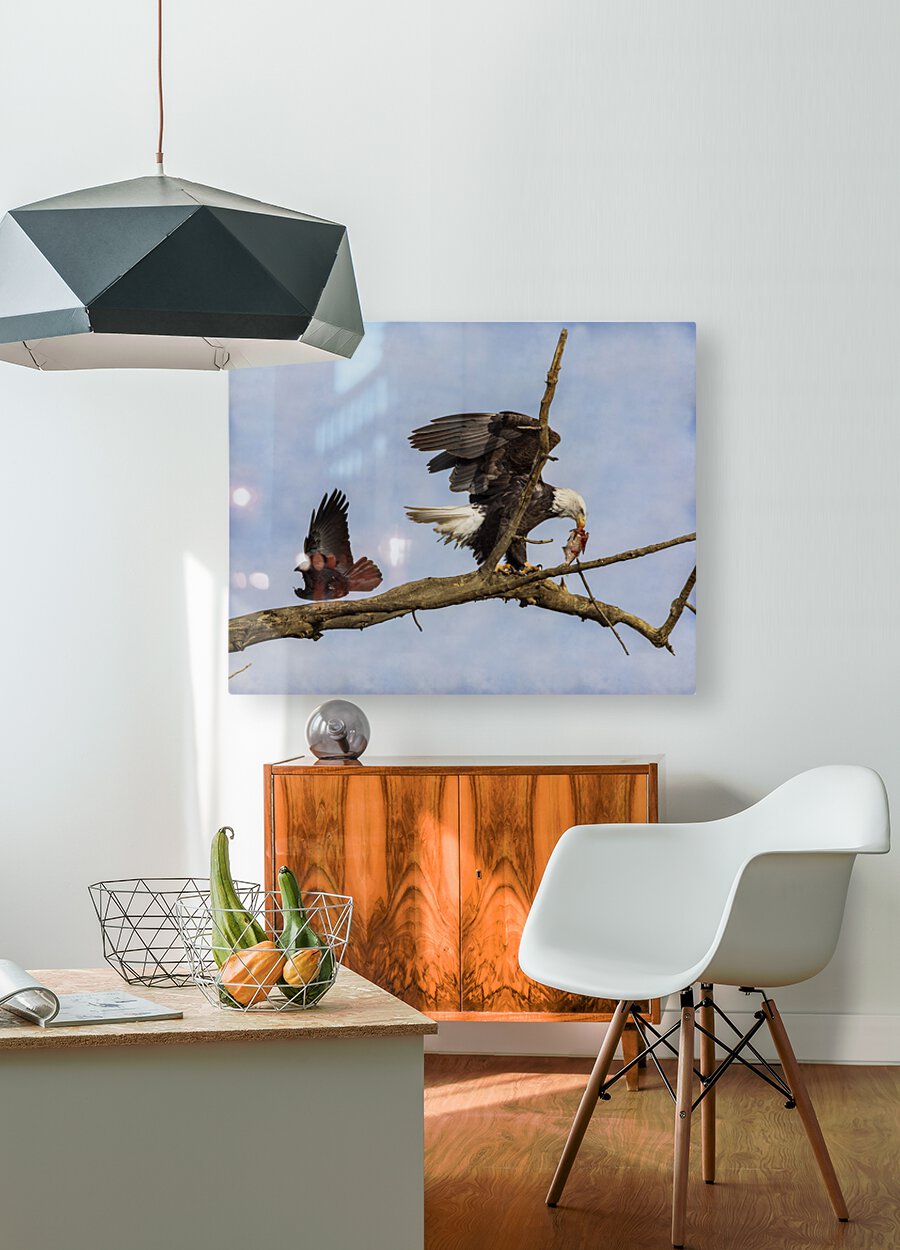 Wings  HD Metal print with Floating Frame on Back