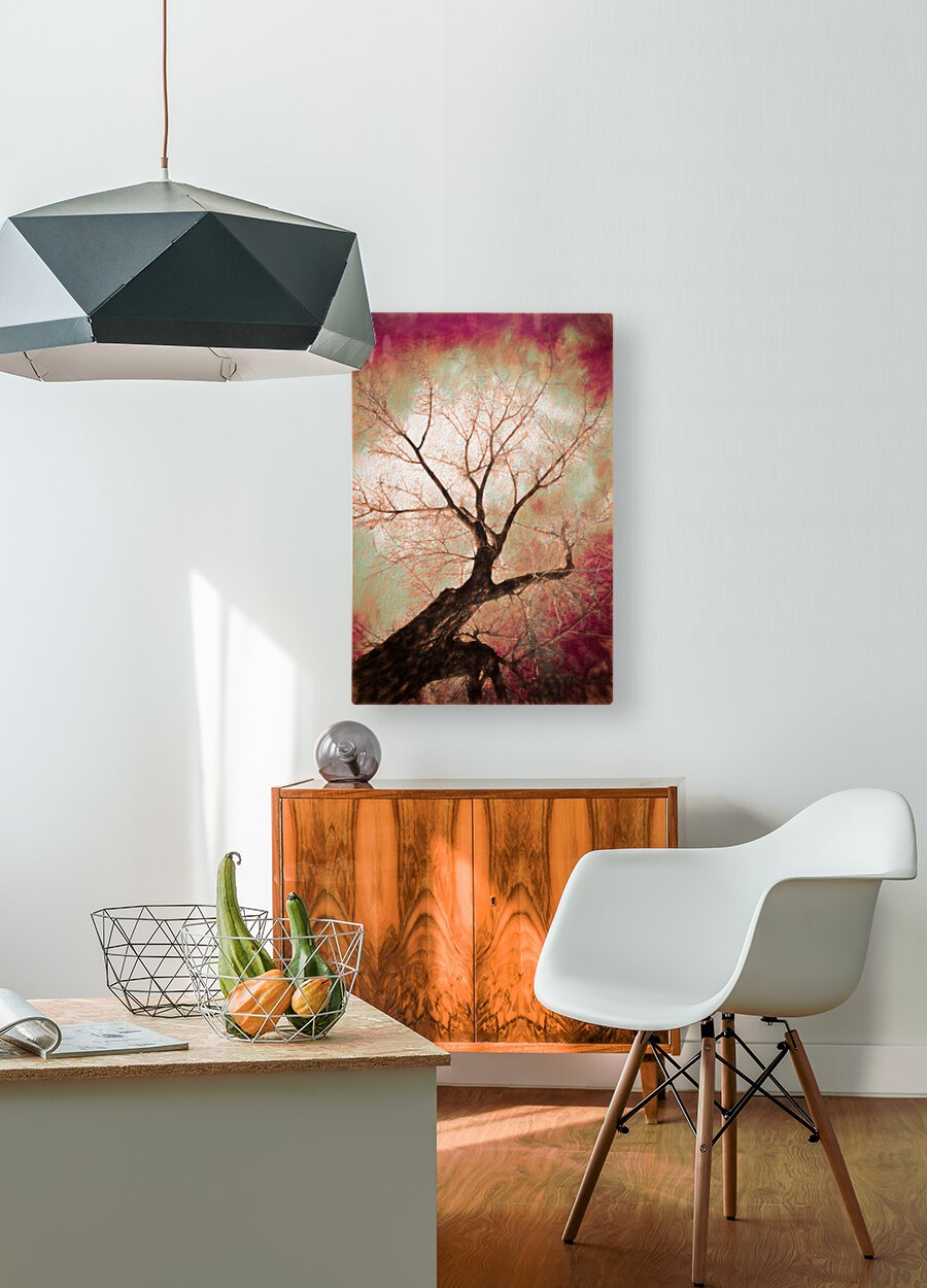 climbing red fiery  HD Metal print with Floating Frame on Back