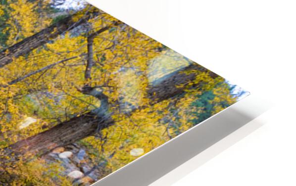 Colorado Autumn Creek Happy Place Panoramic HD Sublimation Metal print