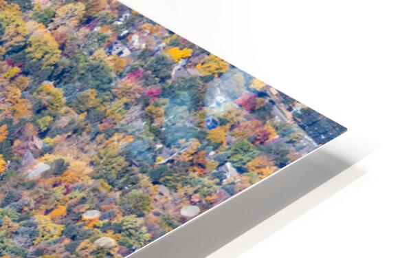 Colorful Trees Boulder Colorado Impression de sublimation métal HD