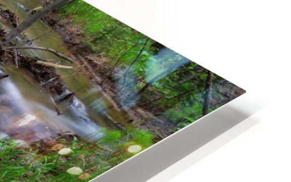 Creek Crossing Forest Woods HD Sublimation Metal print