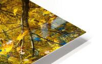 Maple Up HD Metal print