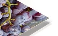 Grapes Up Cluse HD Metal print