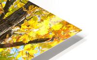 Some Un be leaf able Fall Vibes HD Metal print