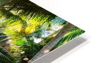 Jungle Paradise Sunshine HD Metal print