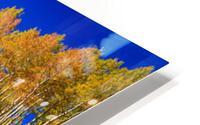 Panorama Autumn Bonanza HD Metal print