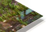 Mountain Stream HD Metal print