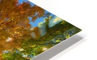 Stunning Autumn Tree Sunlight Through Colorful Leaves Impression metal HD