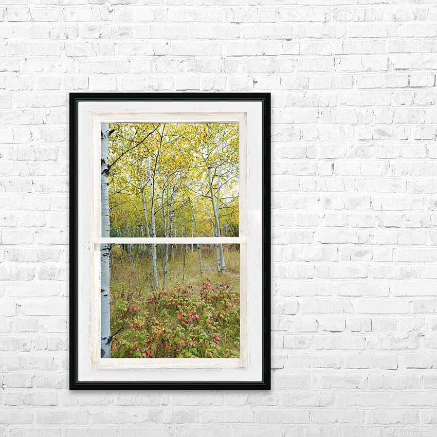 Forest Delight  White Window View HD Sublimation Metal print with Decorating Float Frame (BOX)
