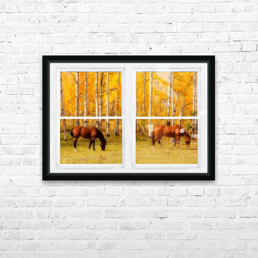 2 Horses Aspen Trees Whitewash Picture Window HD Sublimation Metal print with Decorating Float Frame (BOX)