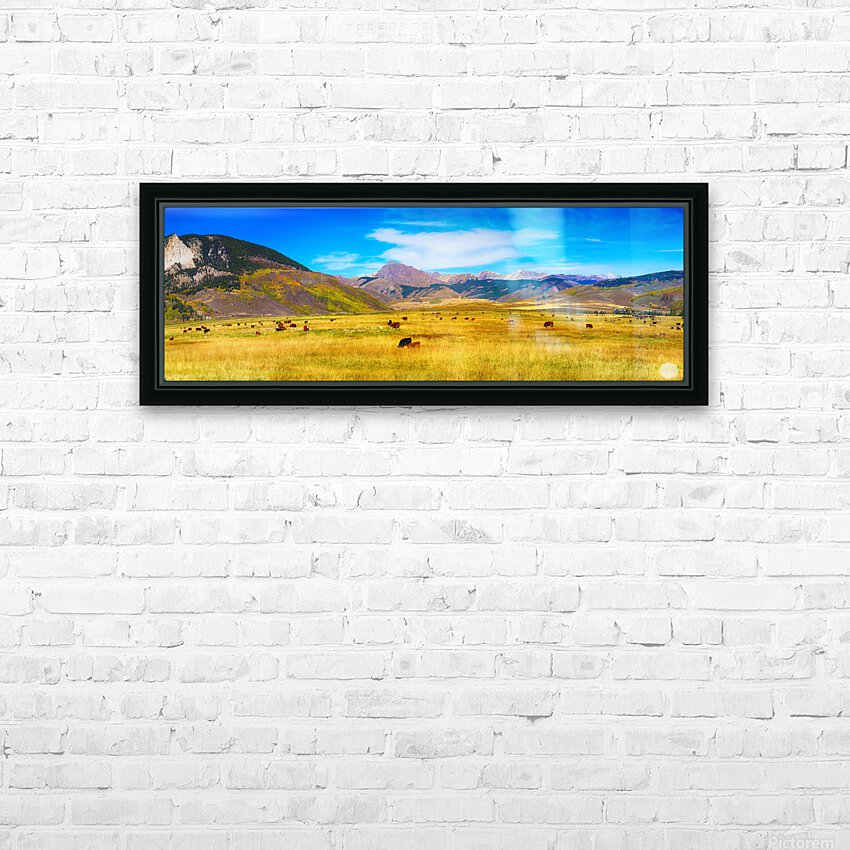 Cattle Grazing Autumn Panorama HD Sublimation Metal print with Decorating Float Frame (BOX)