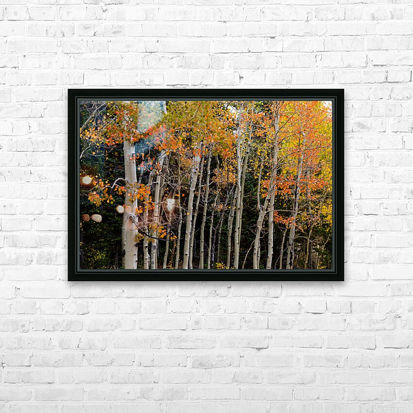 autumn seasons change HD Sublimation Metal print with Decorating Float Frame (BOX)
