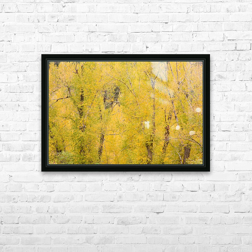 cottonwood autumn colors HD Sublimation Metal print with Decorating Float Frame (BOX)