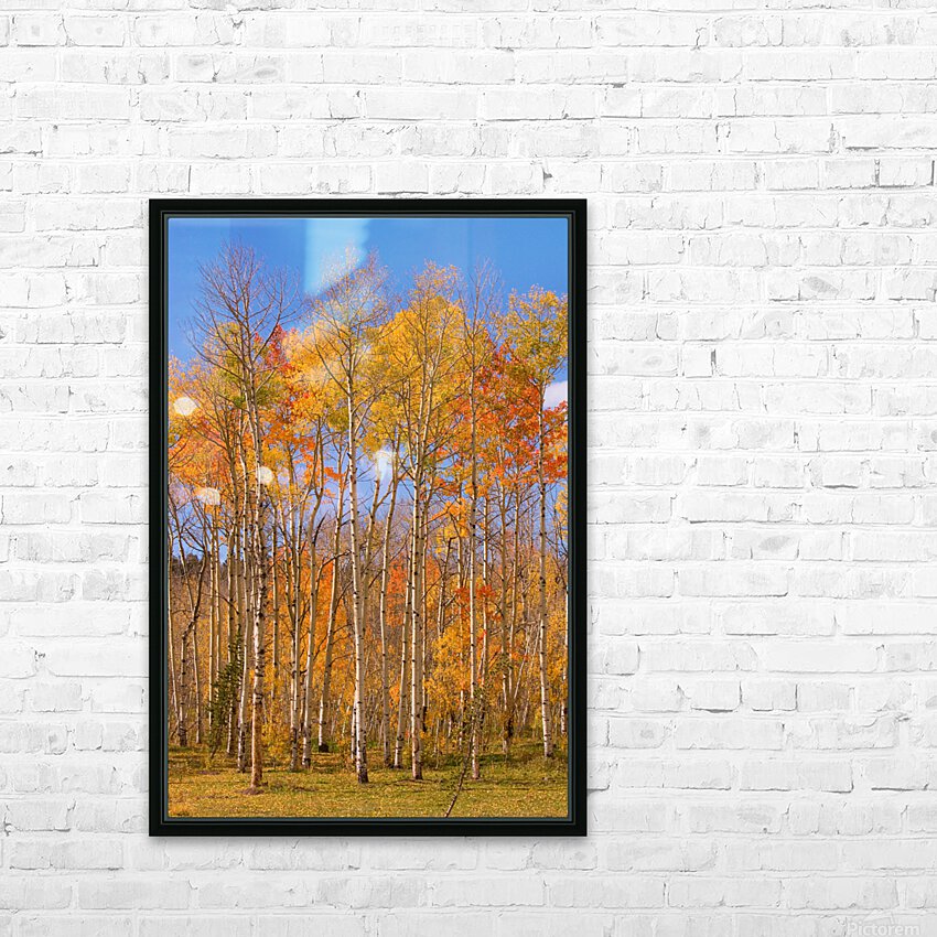 colorful colorado autumn  HD Sublimation Metal print with Decorating Float Frame (BOX)