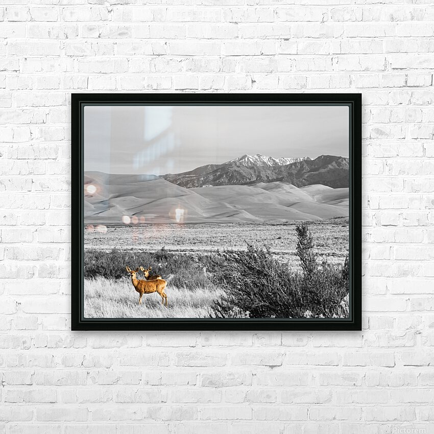 Great Colorado Sand Dunes Deer HD Sublimation Metal print with Decorating Float Frame (BOX)