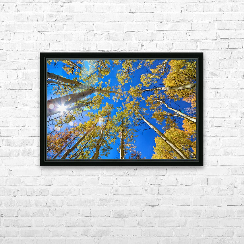 Autumn Aspen Magic HD Sublimation Metal print with Decorating Float Frame (BOX)