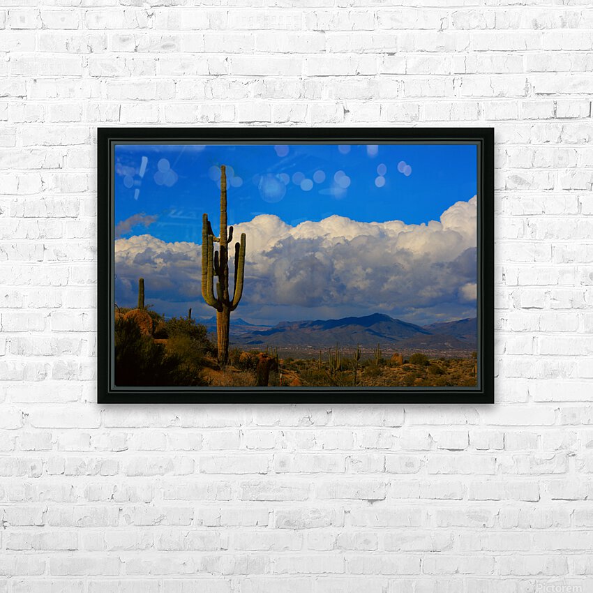  Amazing Giant Saguaro Cactus HD sublimation métal imprimé avec décoration flotteur cadre (boîte)