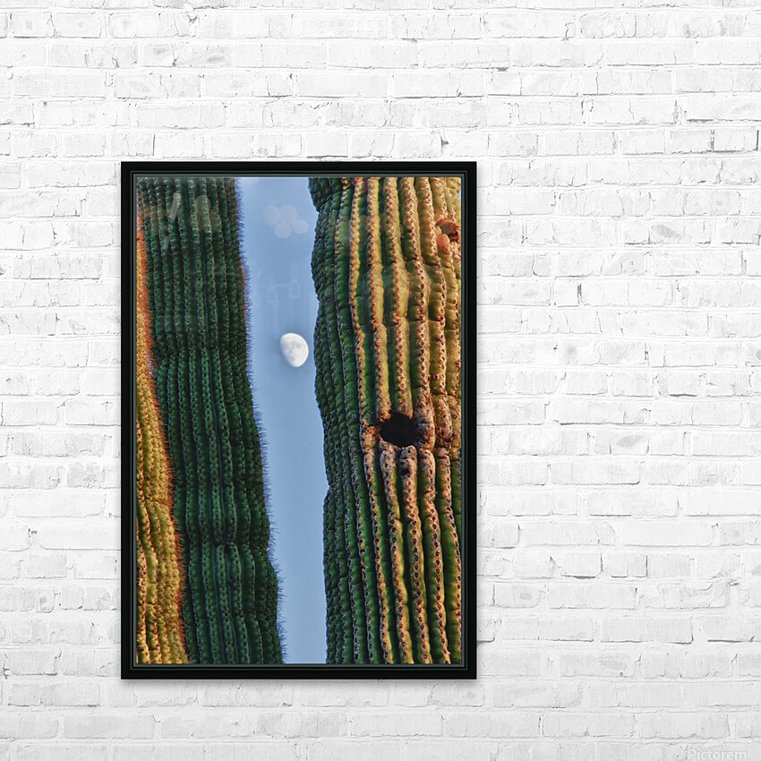  Southwest Saguaro Moon HD Sublimation Metal print with Decorating Float Frame (BOX)