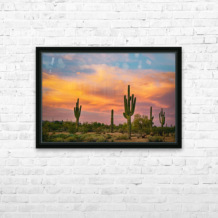 Saguaro Desert Life HD Sublimation Metal print with Decorating Float Frame (BOX)