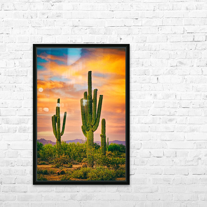 Arizona Life HD Sublimation Metal print with Decorating Float Frame (BOX)