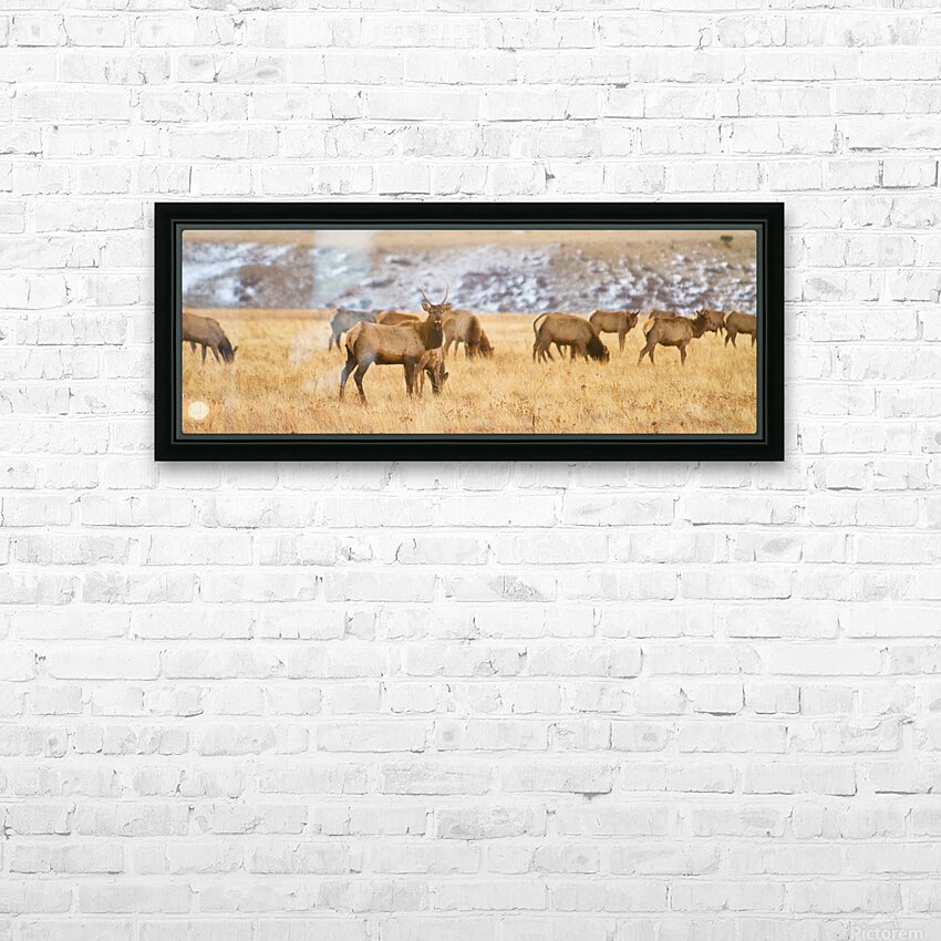 Elk Heard Colorado Foothills Plains Panorama HD Sublimation Metal print with Decorating Float Frame (BOX)
