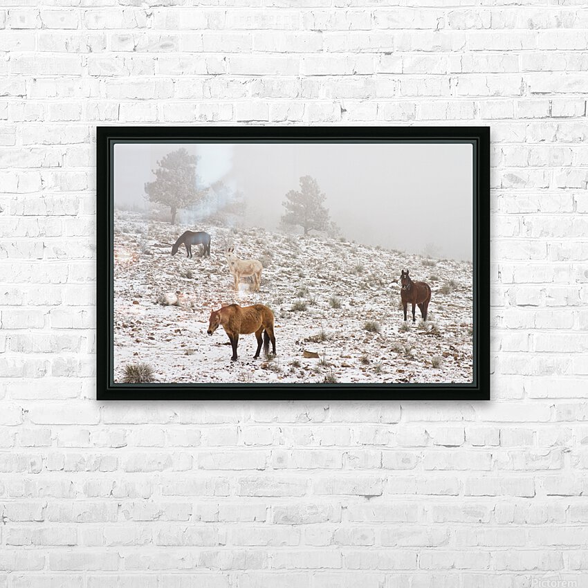 Rocky Mountain Horses Snow Fog HD Sublimation Metal print with Decorating Float Frame (BOX)